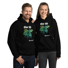 Load image into Gallery viewer, Ohio Unisex Hoodie