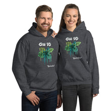 Load image into Gallery viewer, Ohio Unisex Hoodie