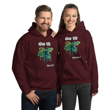 Load image into Gallery viewer, Ohio Unisex Hoodie