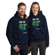 Load image into Gallery viewer, Ohio Unisex Hoodie